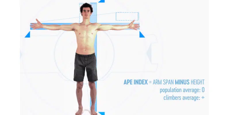 ape index guide img