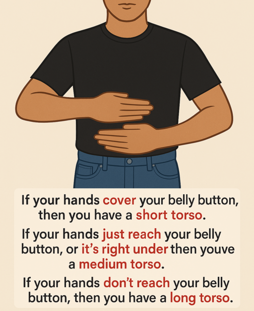 torso length guide img